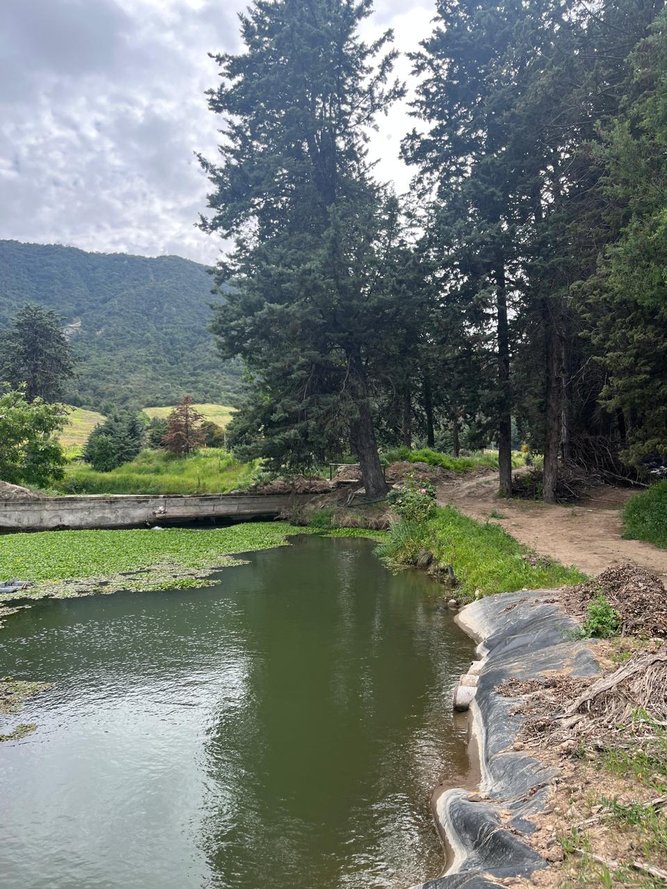 Galería de imágenes