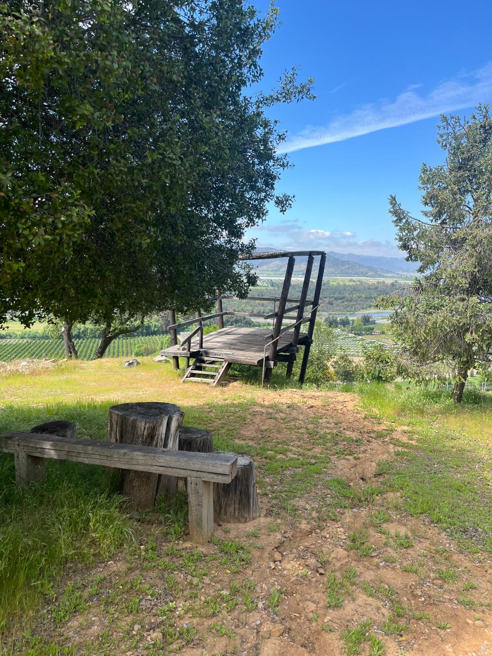 Galería de imágenes